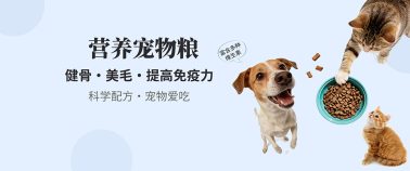 网站banner 图