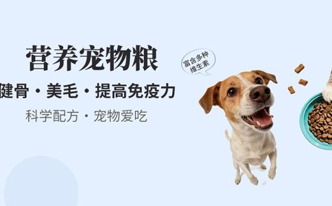 网站banner 图